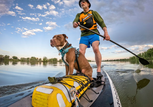 Man and his dog paddle-boarding